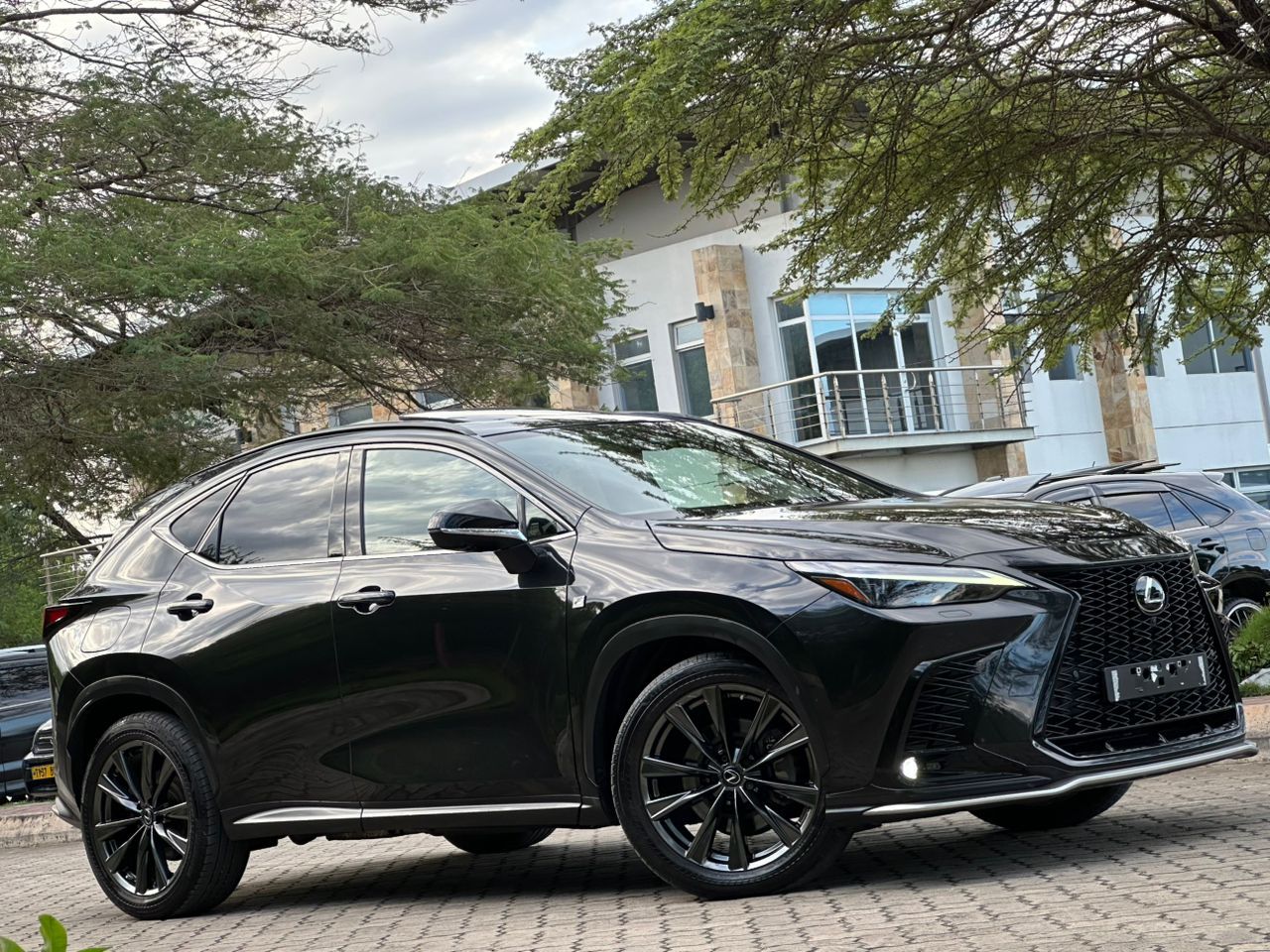 LEXUS